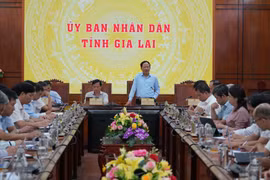 Phát huy tinh thần “thần tốc” trong chỉ đạo, điều hành phát triển kinh tế-xã hội
