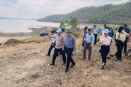 Chủ tịch UBND tỉnh Phạm Anh Tuấn: Các địa phương cần nhận diện rõ dư địa phát triển
