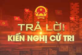 Ủy ban nhân dân tỉnh trả lời kiến nghị của cử tri