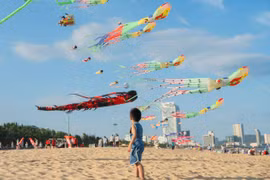 Rực rỡ sắc màu diều nghệ thuật trên biển Quy Nhơn
