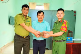 Người dân xã Al Bá tự nguyện giao nộp cá thể rùa núi vàng 