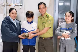 Học sinh ở xã Ia Hrú tự nguyện giao nộp rùa núi vàng