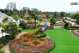 Lễ hội “Ngàn hoa về phố biển” hút khách tham quan