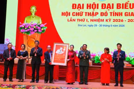 Ông Hà Văn Cát tái đắc cử chức Chủ tịch Hội Chữ thập đỏ tỉnh Gia Lai 