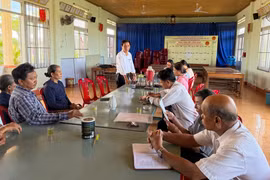 Phường Bình Định làm rõ công tác chi hỗ trợ thiệt hại cây trồng do bão Kalmaegi.