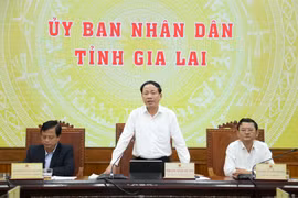 Chủ tịch UBND tỉnh Gia Lai Phạm Anh Tuấn chủ trì hội nghị trực tiếp kết hợp trực tuyến đánh giá tình hình kinh tế - xã hội tháng 1 và triển khai các nhiệm vụ trọng tâm tháng 2 năm 2026.