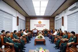 Phó Chủ tịch UBND tỉnh Lâm Hải Giang tiếp đoàn cán bộ Sư đoàn 3