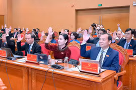 Các đại biểu HĐND tỉnh biểu quyết thông qua nghị quyết
