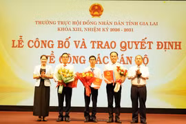 Tiếp nhận, bổ nhiệm 3 Phó Chánh Văn phòng Đoàn ĐBQH và HĐND tỉnh