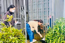 Người dân xã Biển Hồ vệ sinh môi trường, diệt lăng quăng/bọ gậy phòng, chống SXH. Ảnh: Như Nguyện