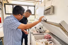 Gia Lai xử phạt 53 cơ sở vi phạm an toàn thực phẩm 