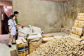 Gia Lai thành lập 3 đoàn kiểm tra liên ngành về an toàn thực phẩm
