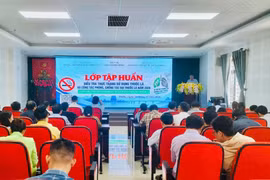 Gia Lai tập huấn điều tra thực trạng sử dụng thuốc lá năm 2026