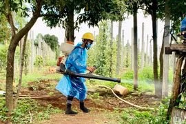 Gia Lai chủ động phòng-chống sốt xuất huyết