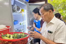 Gia Lai phạt hành chính 16 cơ sở vi phạm an toàn thực phẩm