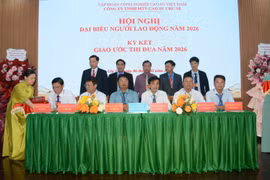 Công ty Cao su Chư Sê: Thu nhập của người lao động trên 10,6 triệu đồng/người/tháng