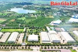 Báo chí Gia Lai đồng hành cùng doanh nghiệp