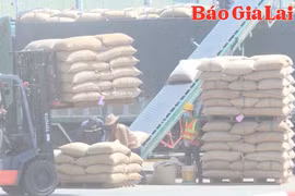 Nghị quyết 68 - Điểm tựa kinh tế tư nhân phát triển
