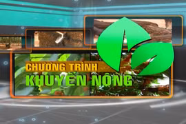 Chuyên mục Khuyến nông Gia Lai 21-5-2025 