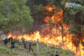 Điểm tin trưa: Thủ tướng chỉ đạo triển khai cấp bách các biện pháp phòng cháy, chữa cháy rừng