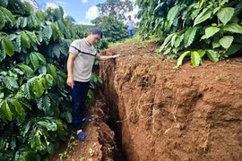 Người dân lo lắng trước tình trạng sụt lún, sạt lở đất ở Đức Cơ.