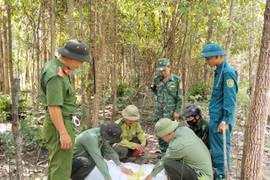 Kiểm tra rừng