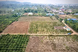 UBND xã Mang Yang thông báo nghiêm cấm các hoạt động mua bán, chuyển nhượng đất đai trái pháp luật trên địa bàn