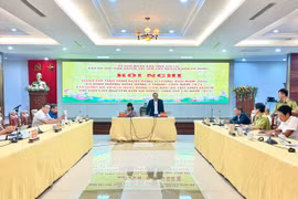 Hội nghị