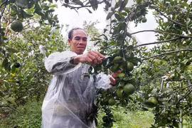 Cửu An hướng đến xã nông thôn mới nâng cao