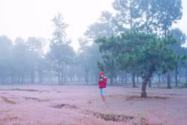 Mùa gió lạnh