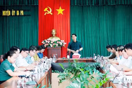 Phó Bí thư Tỉnh ủy Nguyễn Ngọc Lương: Tập trung chuẩn bị tốt công tác đại hội Đảng các cấp
