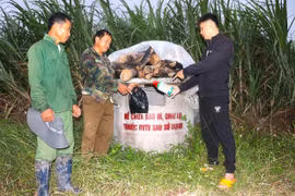 Kbang chú trọng gìn giữ, bảo vệ môi trường