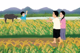 Tình quê