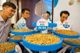 Giá cà phê giảm sâu trong ngày châu Âu công bố hoãn EUDR