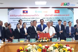 Điểm tin trưa: Tỉnh Champasak và Tập đoàn Hoàng Anh Gia Lai ký kết đầu tư 5.000 ha cà phê