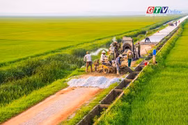 Điểm tin trưa: Kiến nghị Trung ương sớm giao vốn cho Gia Lai năm 2026