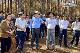 Điểm tin trưa: Chủ tịch UBND tỉnh Phạm Anh Tuấn kiểm tra loạt dự án đầu tư tại phía Tây tỉnh
