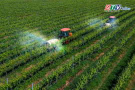 Điểm tin trưa: Gia Lai phấn đấu đưa giá trị ngành nông nghiệp vượt 38.000 tỷ đồng