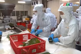 Toàn cảnh Gia Lai 24h: Xử phạt 10 cơ sở vi phạm an toàn thực phẩm với số tiền 44 triệu đồng