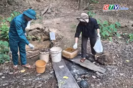 Điểm tin trưa: Gia Lai tăng cường giám sát, phòng chống bệnh Whitmore
