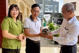 Gia Lai: Giao nộp 1 cá thể tê tê Java quý hiếm lạc vào vườn nhà