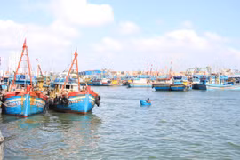 Gia Lai không có tàu cá nằm trong khu vực nguy hiểm của bão số 1