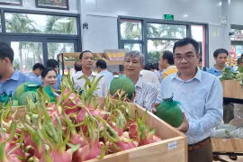 Gia Lai đẩy nhanh cấp mã số vùng trồng, cơ sở đóng gói