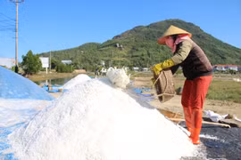 Gia Lai: Hơn 7.580 tấn muối còn tồn trong dân
