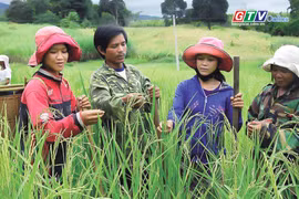 Điểm tin trưa: Gia Lai đẩy nhanh triển khai các chương trình mục tiêu quốc gia giai đoạn 2026-2030
