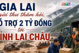 Toàn cảnh Gia Lai 24h: Hỗ trợ 2 tỷ đồng và thuốc, hóa chất y tế cho Lai Châu