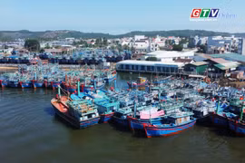 Điểm tin trưa: Phó Bí thư Tỉnh ủy Châu Ngọc Tuấn kiểm tra Cảng cá Tam Quan