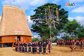Điểm tin trưa: Gia Lai hoàn thành sắp xếp thôn, tổ dân phố với sự đồng thuận cao của người dân