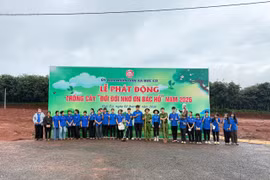 Đức Cơ phấn đấu trồng 34.000 cây xanh