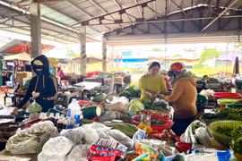 UBND Gia Lai chỉ đạo quản lý, điều hành giá các tháng cuối năm và dịp Tết Nguyên đán Ất Tỵ 2025
